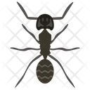 پیش‌نمایش فایل ant-58 از پک حشرات