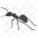 پیش‌نمایش فایل ant-60 از پک حشرات