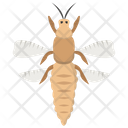 پیش‌نمایش فایل bee-276 از پک حشرات
