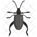 پیش‌نمایش فایل beetle-41 از پک حشرات