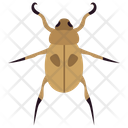 پیش‌نمایش فایل beetle-42 از پک حشرات