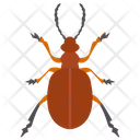 پیش‌نمایش فایل beetle-43 از پک حشرات
