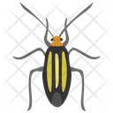 پیش‌نمایش فایل beetle-45 از پک حشرات
