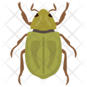 پیش‌نمایش فایل beetle-46 از پک حشرات