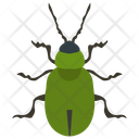 پیش‌نمایش فایل beetle-47 از پک حشرات