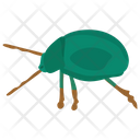 پیش‌نمایش فایل beetle-48 از پک حشرات
