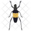 پیش‌نمایش فایل blister-beetle-1 از پک حشرات