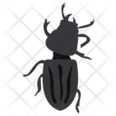 پیش‌نمایش فایل blister-beetle از پک حشرات