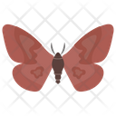 پیش‌نمایش فایل butterfly-502 از پک حشرات
