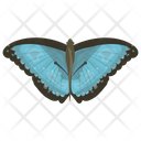 پیش‌نمایش فایل butterfly-503 از پک حشرات