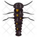 پیش‌نمایش فایل caterpillar-22 از پک حشرات