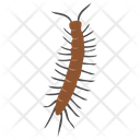 پیش‌نمایش فایل centipede از پک حشرات