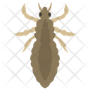 پیش‌نمایش فایل colorado-beetle-1 از پک حشرات