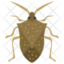 پیش‌نمایش فایل colorado-beetle-2 از پک حشرات