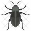 پیش‌نمایش فایل dor-bug از پک حشرات