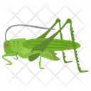 پیش‌نمایش فایل grasshopper-26 از پک حشرات