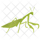 پیش‌نمایش فایل grasshopper-27 از پک حشرات