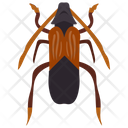پیش‌نمایش فایل ground-beetle-1 از پک حشرات