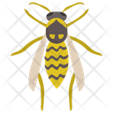 پیش‌نمایش فایل honey-bee-20 از پک حشرات