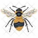 پیش‌نمایش فایل housefly از پک حشرات