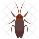 پیش‌نمایش فایل longhorn-beetle از پک حشرات