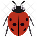 پیش‌نمایش فایل redbug از پک حشرات