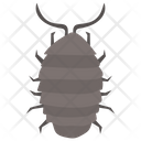 پیش‌نمایش فایل rhinoceros-beetle-1 از پک حشرات