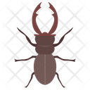 پیش‌نمایش فایل rhinoceros-beetle از پک حشرات