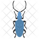 پیش‌نمایش فایل stag-beetle-1 از پک حشرات