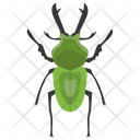پیش‌نمایش فایل stag-beetle-3 از پک حشرات
