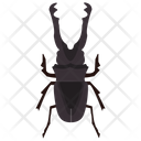پیش‌نمایش فایل stag-beetle-4 از پک حشرات