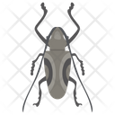 پیش‌نمایش فایل stag-beetle از پک حشرات