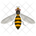 پیش‌نمایش فایل wasp-26 از پک حشرات