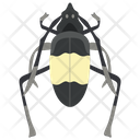 پیش‌نمایش فایل water-bug-1 از پک حشرات