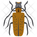 پیش‌نمایش فایل weevil-beetle-2 از پک حشرات