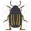 پیش‌نمایش فایل weevil-beetle-3 از پک حشرات