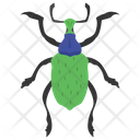پیش‌نمایش فایل weevil-beetle-4 از پک حشرات