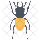 پیش‌نمایش فایل weevil-beetle از پک حشرات