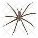 پیش‌نمایش فایل widow-spider از پک حشرات
