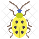 پیش‌نمایش فایل yellow-beetle از پک حشرات