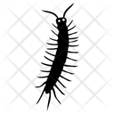 پیش‌نمایش فایل centipede-1 از پک حشرات