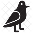 پیش‌نمایش فایل birds-20 از پک شکار و ورزشکار