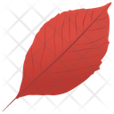پیش‌نمایش فایل aronia-leaf از پک برگ‌های پاییزی