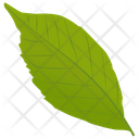 پیش‌نمایش فایل ash-leaf-2 از پک برگ‌های پاییزی