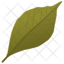 پیش‌نمایش فایل ash-leaf-3 از پک برگ‌های پاییزی