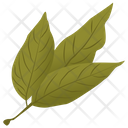 پیش‌نمایش فایل ash-leaves از پک برگ‌های پاییزی