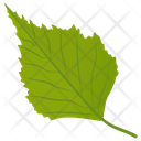 پیش‌نمایش فایل aspen-leaf-3 از پک برگ‌های پاییزی