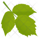 پیش‌نمایش فایل aspen-leaves از پک برگ‌های پاییزی
