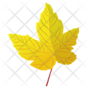 پیش‌نمایش فایل autumn-leaf-12 از پک برگ‌های پاییزی
