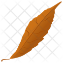 پیش‌نمایش فایل autumn-leaf-13 از پک برگ‌های پاییزی